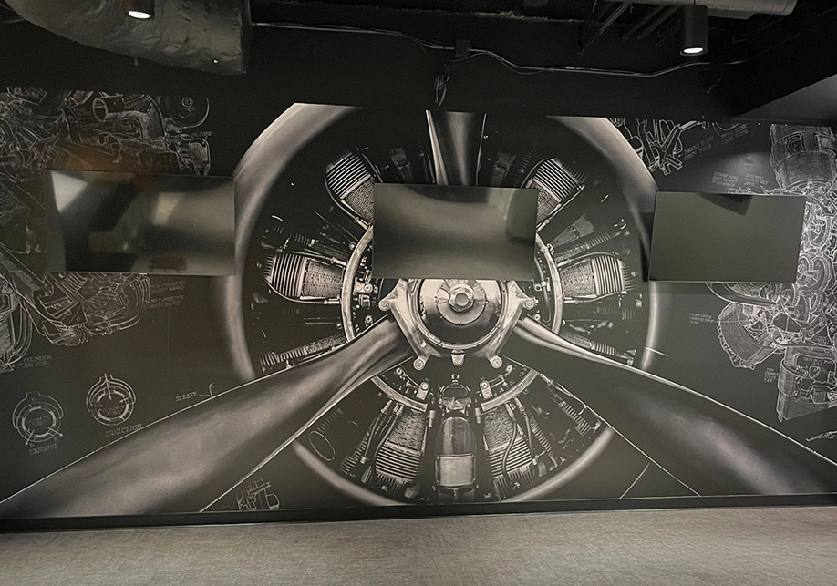 lu aeronautics airplane wall mural